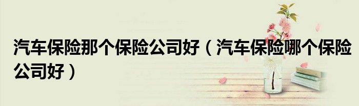 汽车保险那个保险公司好（汽车保险哪个保险公司好）