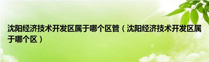 沈阳经济技术开发区属于哪个区管（沈阳经济技术开发区属于哪个区）