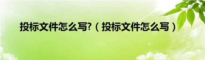投标文件怎么写?（投标文件怎么写）