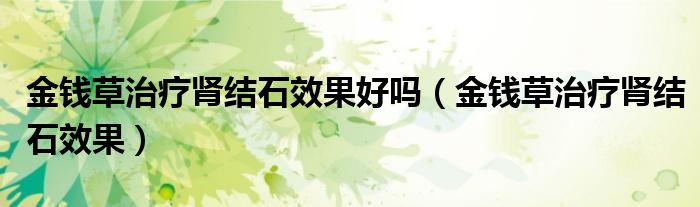 金钱草治疗肾结石效果好吗（金钱草治疗肾结石效果）