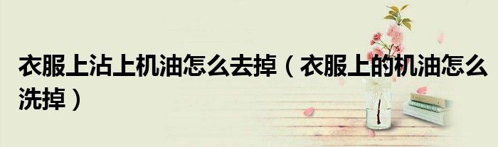 衣服上沾上机油怎么去掉（衣服上的机油怎么洗掉）