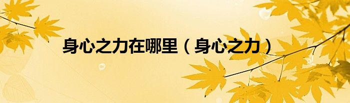 身心之力在哪里（身心之力）