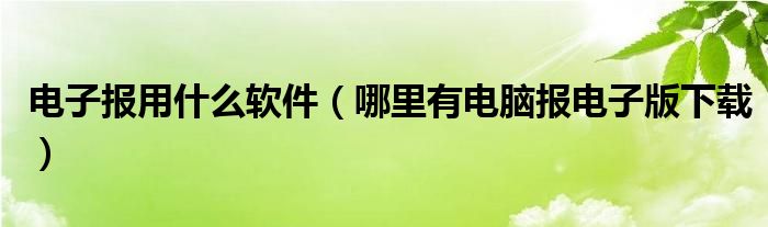 电子报用什么软件（哪里有电脑报电子版下载）