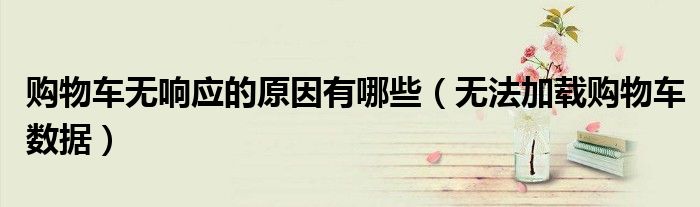 购物车无响应的原因有哪些（无法加载购物车数据）