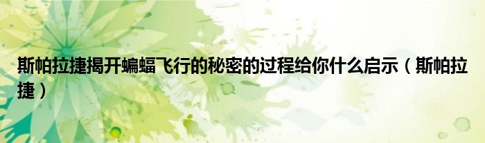 斯帕拉捷揭开蝙蝠飞行的秘密的过程给你什么启示（斯帕拉捷）
