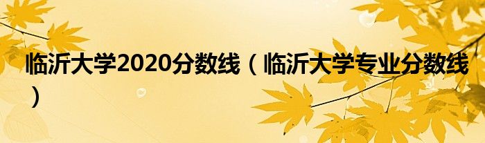 临沂大学2020分数线（临沂大学专业分数线）
