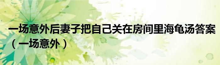 一场意外后妻子把自己关在房间里海龟汤答案（一场意外）