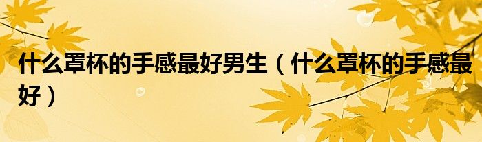 什么罩杯的手感最好男生（什么罩杯的手感最好）