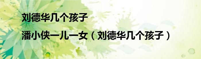 刘德华几个孩子|潘小侠一儿一女（刘德华几个孩子）