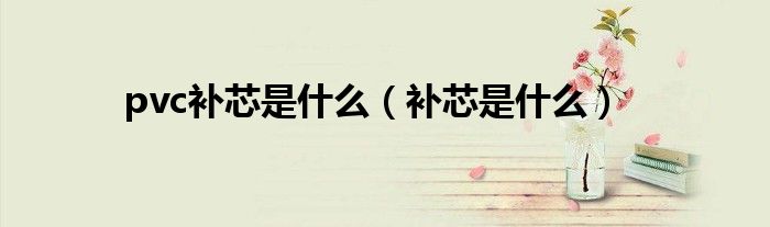 pvc补芯是什么（补芯是什么）