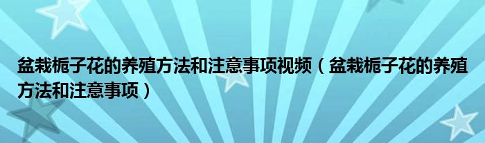 盆栽栀子花的养殖方法和注意事项视频（盆栽栀子花的养殖方法和注意事项）