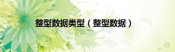 整型数据类型（整型数据）