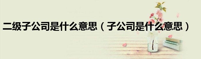 二级子公司是什么意思（子公司是什么意思）