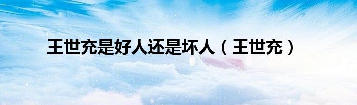 王世充是好人还是坏人（王世充）