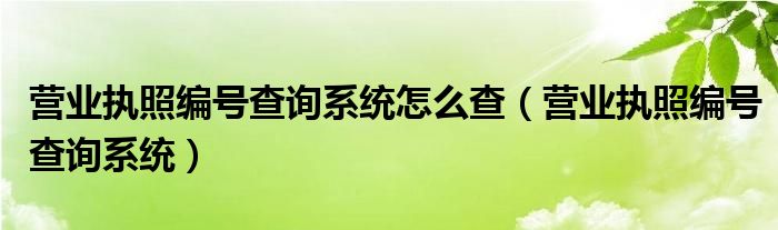 营业执照编号查询系统怎么查（营业执照编号查询系统）