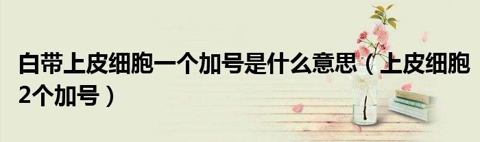 白带上皮细胞一个加号是什么意思（上皮细胞2个加号）