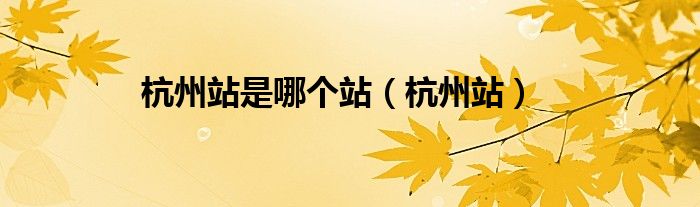 杭州站是哪个站（杭州站）