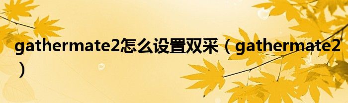 gathermate2怎么设置双采（gathermate2）