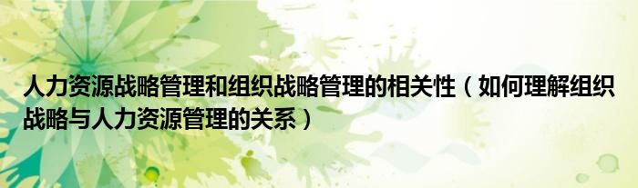 人力资源战略管理和组织战略管理的相关性（如何理解组织战略与人力资源管理的关系）