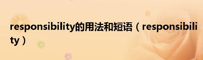 responsibility的用法和短语（responsibility）