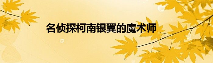 名侦探柯南银翼的魔术师