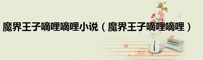魔界王子嘀哩嘀哩小说（魔界王子嘀哩嘀哩）