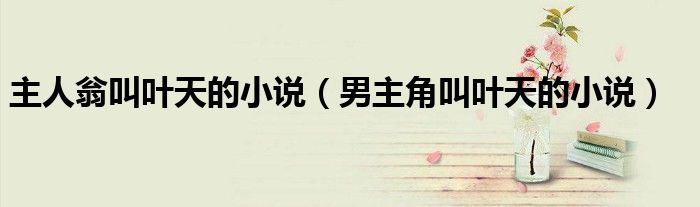 主人翁叫叶天的小说（男主角叫叶天的小说）