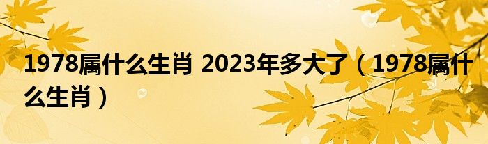 1978属什么生肖 2023年多大了（1978属什么生肖）