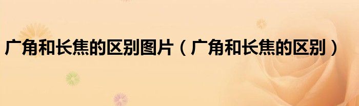广角和长焦的区别图片（广角和长焦的区别）