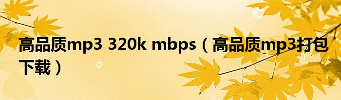 高品质mp3 320k mbps（高品质mp3打包下载）