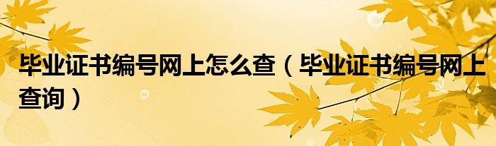 毕业证书编号网上怎么查（毕业证书编号网上查询）