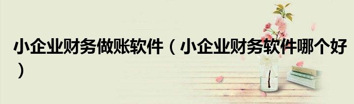 小企业财务做账软件（小企业财务软件哪个好）