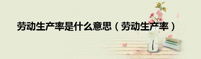 劳动生产率是什么意思（劳动生产率）