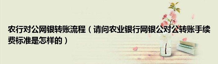 农行对公网银转账流程（请问农业银行网银公对公转账手续费标准是怎样的）