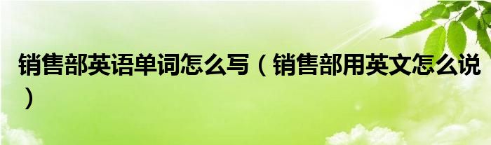 销售部英语单词怎么写（销售部用英文怎么说）