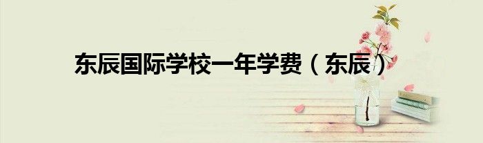 东辰国际学校一年学费（东辰）