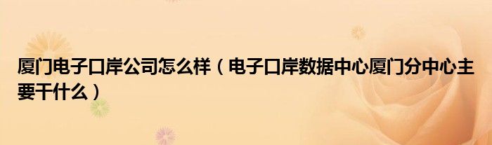 厦门电子口岸公司怎么样（电子口岸数据中心厦门分中心主要干什么）