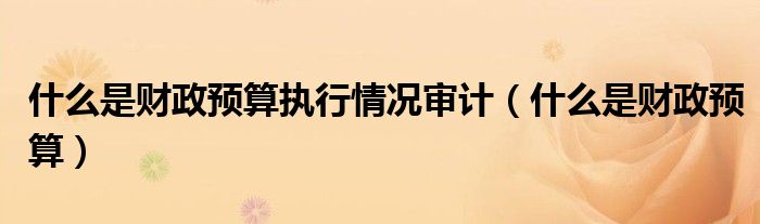 什么是财政预算执行情况审计（什么是财政预算）