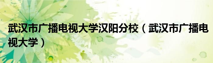 武汉市广播电视大学汉阳分校（武汉市广播电视大学）