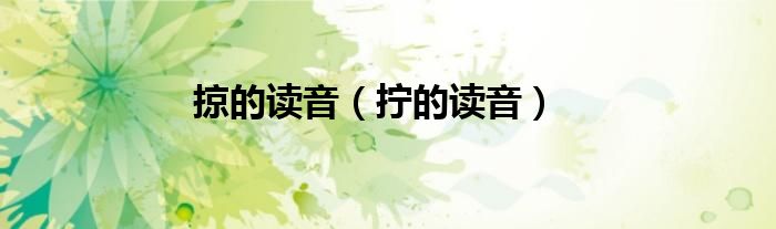 掠的读音（拧的读音）