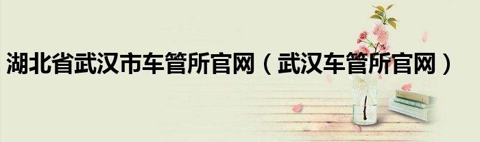 湖北省武汉市车管所官网（武汉车管所官网）