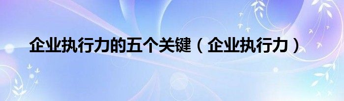 企业执行力的五个关键（企业执行力）