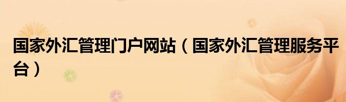 国家外汇管理门户网站（国家外汇管理服务平台）