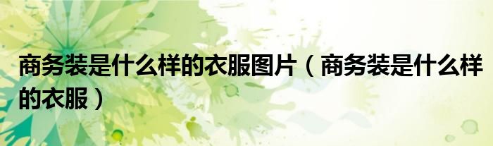 商务装是什么样的衣服图片（商务装是什么样的衣服）
