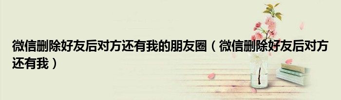 微信删除好友后对方还有我的朋友圈（微信删除好友后对方还有我）