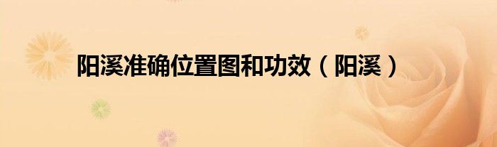 阳溪准确位置图和功效（阳溪）