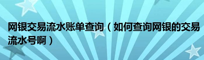 网银交易流水账单查询（如何查询网银的交易流水号啊）