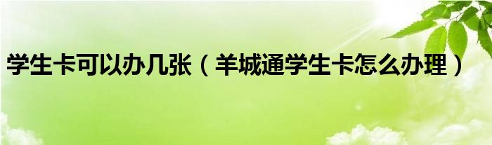 学生卡可以办几张（羊城通学生卡怎么办理）