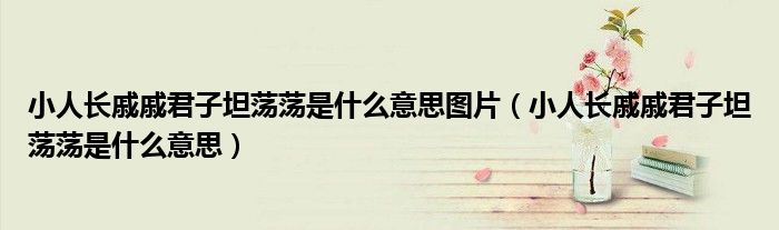 小人长戚戚君子坦荡荡是什么意思图片（小人长戚戚君子坦荡荡是什么意思）