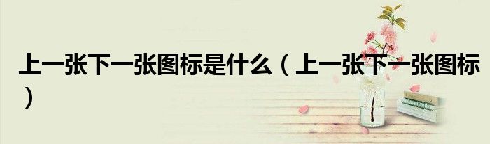 上一张下一张图标是什么（上一张下一张图标）